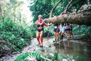 BIB: 
                            <button type="button" onclick="openModal(25465270)" class="btn btn-primary btn-sm float-right btn-popup" data-toggle="modal" data-target=".modal-high-quality">
                        <i class="fas fa-shopping-cart"></i> Add to Cart
                    </button>
                                            <button type="button" onclick="isThisMe(25465270, true)" class="btn btn-success btn-sm float-right btn-popup btn-isme hidden" data-toggle="tooltip" data-placement="bottom" title="นี่คือรูปของคุณใช่ไหม คลิกที่นี่เพื่อเอาเข้าอัลบั้ม">
                        <i class="fas fa-plus"></i> Add to album
                    </button>
                    <button type="button" onclick="isThisMe(25465270, false)" class="btn btn-warning btn-sm float-right btn-popup btn-isnotme hidden">
                        <i class="fas fa-ban"></i> Remove from album
                    </button>